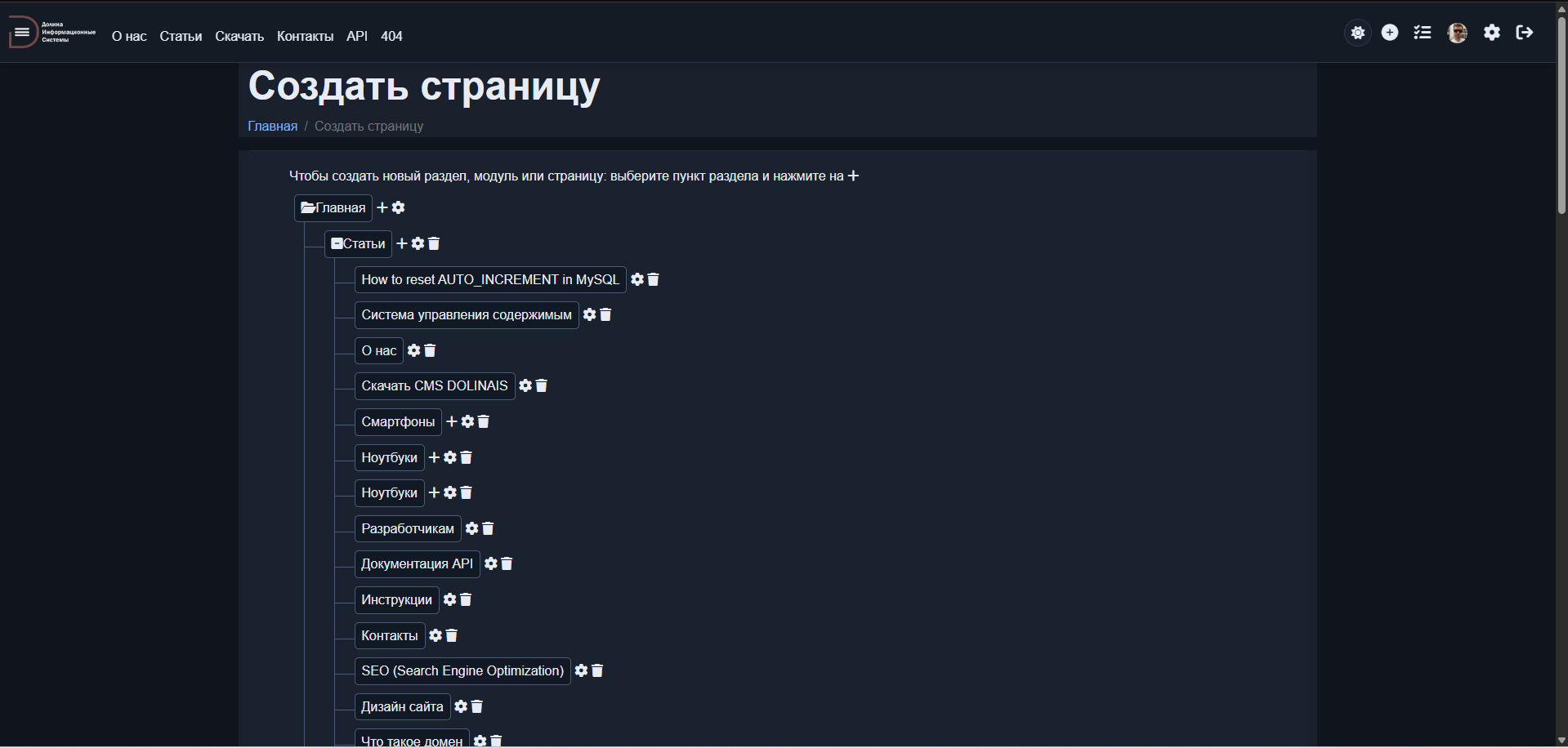 CMS ДОЛИНА ИС